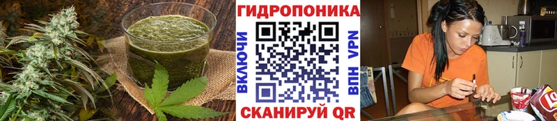 mega зеркало  сайты даркнета Telegram  Canna-Cookies конопля  Саянск 