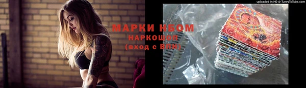 шишки Алексин