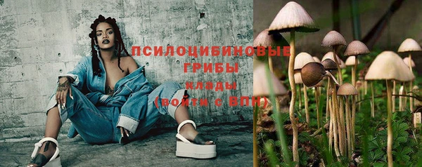 дурь Абинск