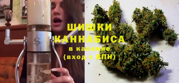 шишки Алексин