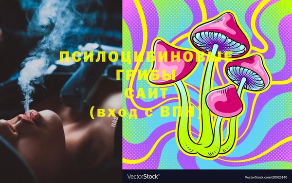 шишки Алексин