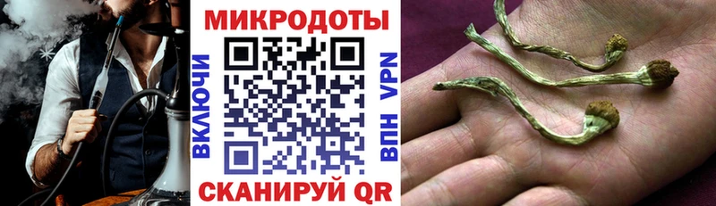Псилоцибиновые грибы мицелий  блэк спрут сайт  Саянск 