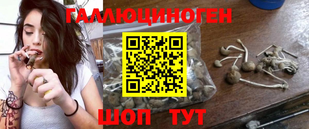 Саянск  Галлюциногенные грибы Magic Shrooms  Вход с VPN 