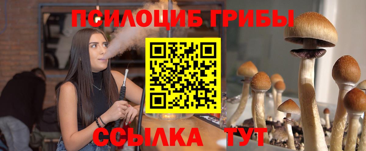 Галлюциногенные грибы мухоморы Саянск